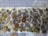 Stage Ecoprint, teinture végétale, ADN Laine 71220 pressy sous dondin, en Bourgogne du Sud