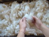 Stage de filage au rouet et au fuseau, à ADN Laine en Bourgogne du Sud