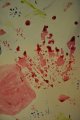 Utiliser les feuilles et les encres végétales pour dessiner