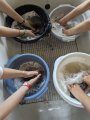 Ateliers feutre pour enfant à ADN Laine à Pressy sous Dondin (71220) en Bourgogne du Sud